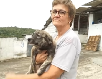 Abrigo de animais corre o risco de ser demolido e mais de 400 animais ficarem sem acolhimento