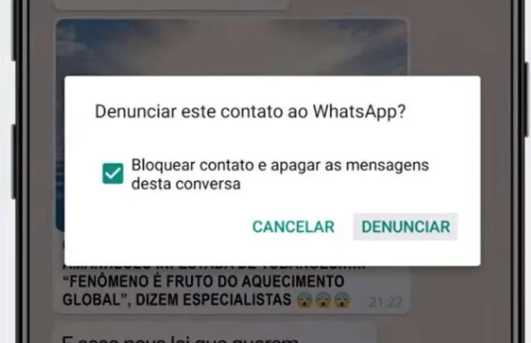 Para onde vão as denúncias feitas ao Whatsapp? E porque isso é importante