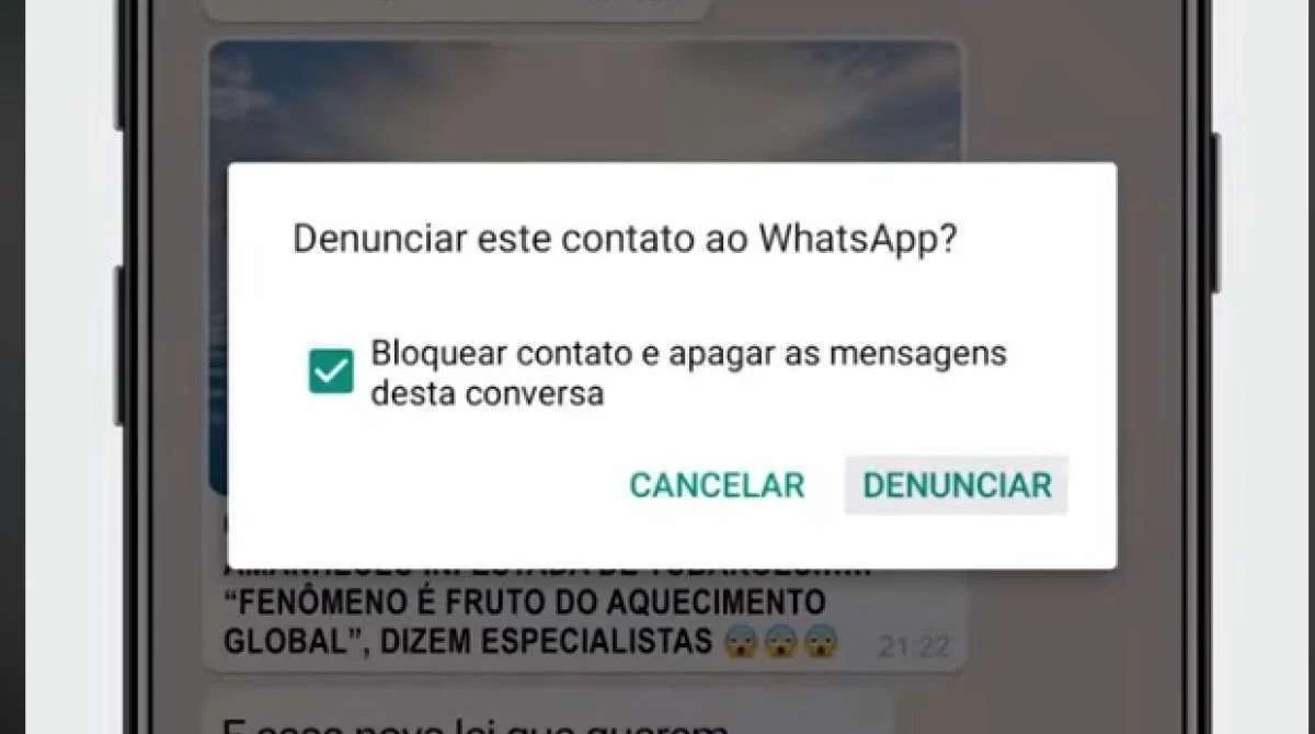 Para onde vão as denúncias feitas ao Whatsapp? E porque isso é importante