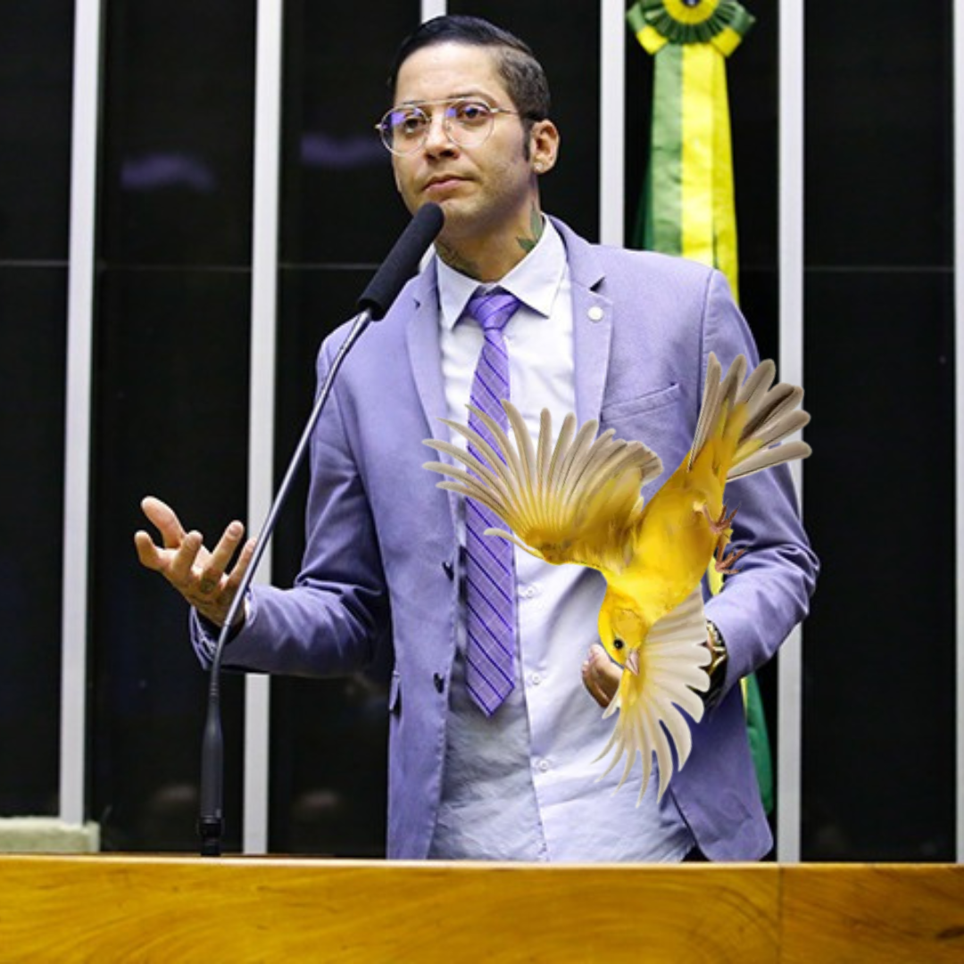 A queda do kannário na política