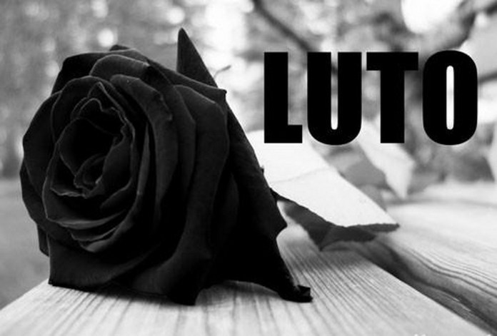 Luto: entenda as fases e como lidar com as perdas