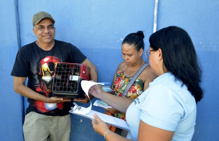 Prefeitura oferece castração e vacinação gratuita para animais em Itapuã