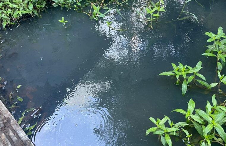 Tragédia Ambiental no Imbuí: Lago Transformado em Esgoto Após Vazamento da Embasa