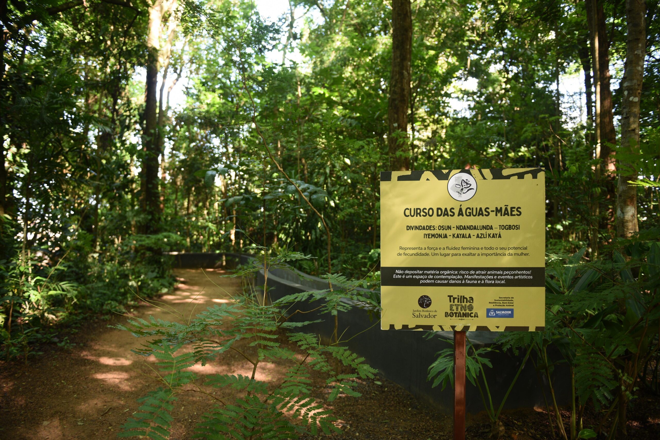Salvador ganha Jardim Etnobotânico com trilha e espaços temáticos ligados à herança de matriz africana