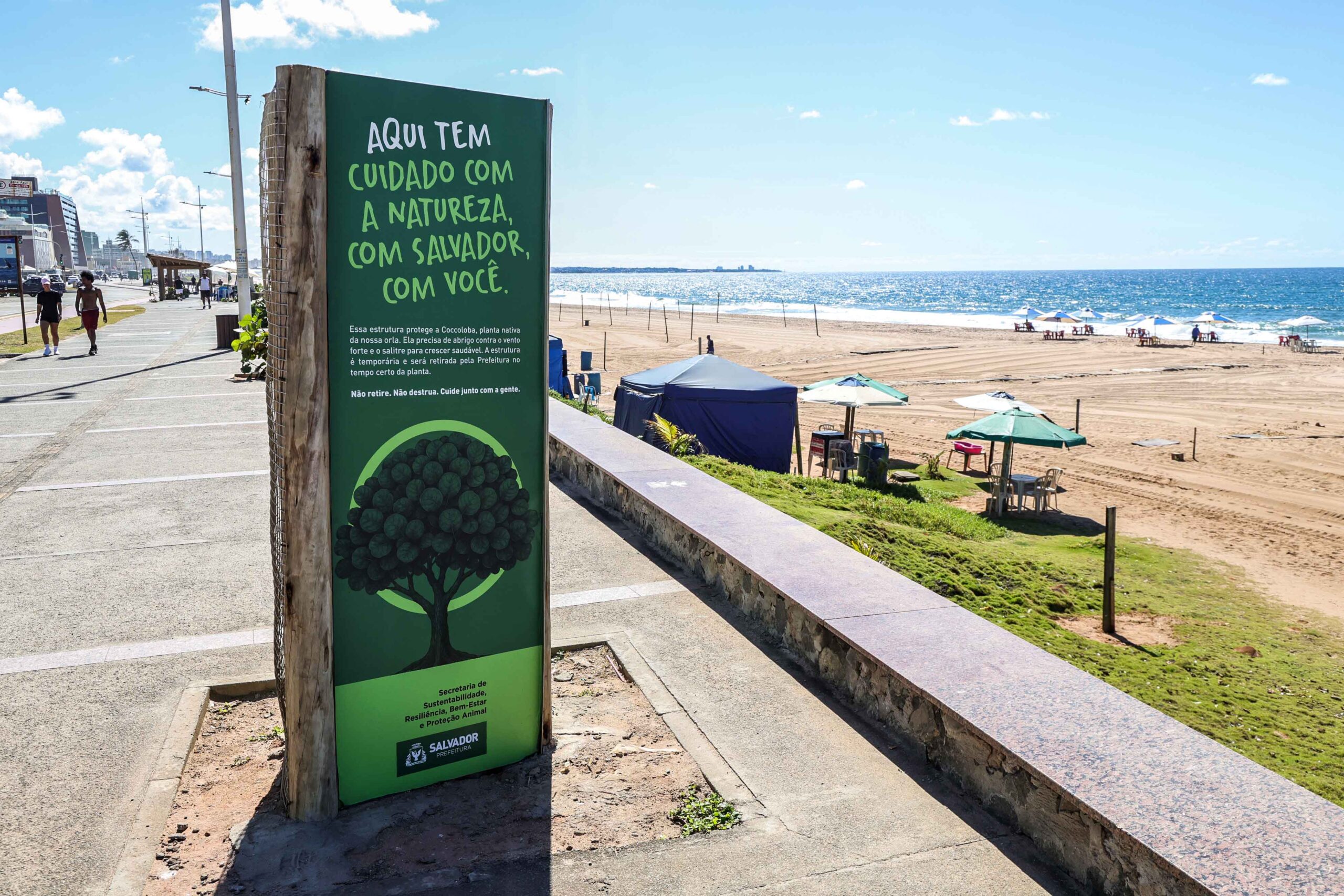 Prefeitura instala protetores para preservar mudas plantadas na orla de Salvador