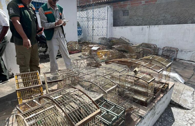 Operação Voo Livre desarticula grupo criminoso de tráfico de animais silvestres na Bahia