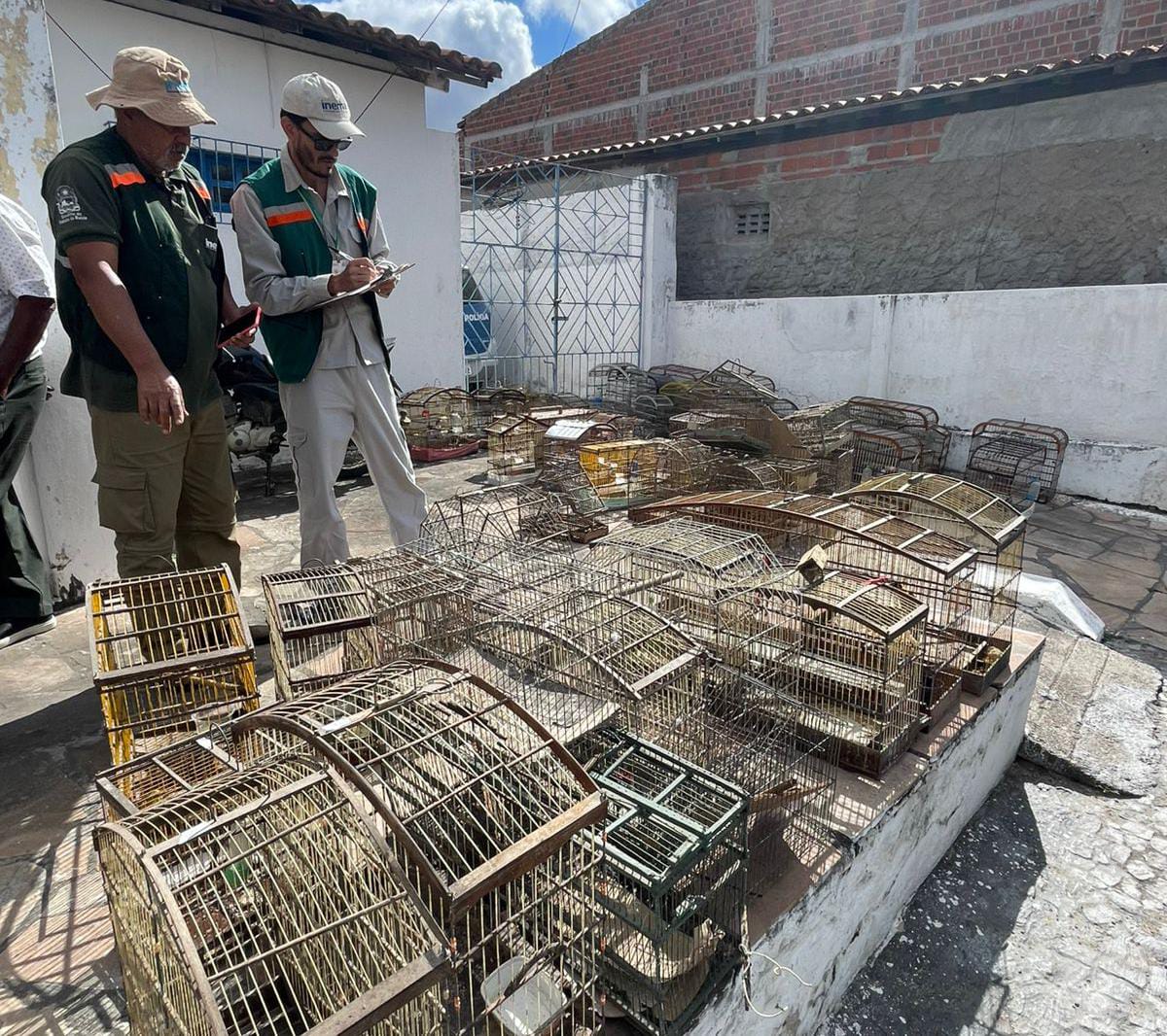 Operação Voo Livre desarticula grupo criminoso de tráfico de animais silvestres na Bahia