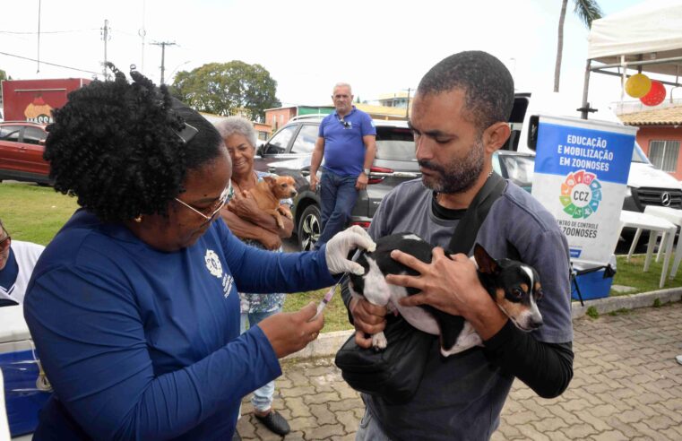 Vacinação Antirrábica: Salvador convoca tutores para imunização de cães e gatos