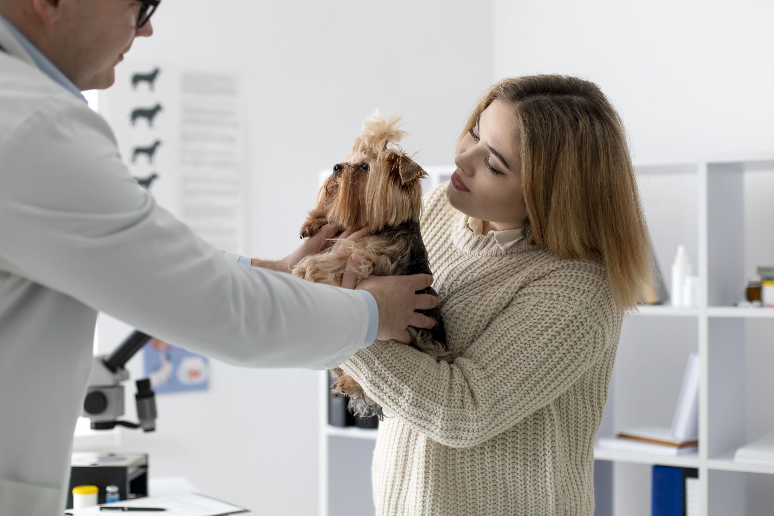 Universidade oferece ação gratuita de prevenção ao câncer de mama em pets em Salvador