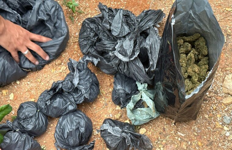 Ações de combate ao tráfico de drogas são realizadas em Jequié e Feira de Santana