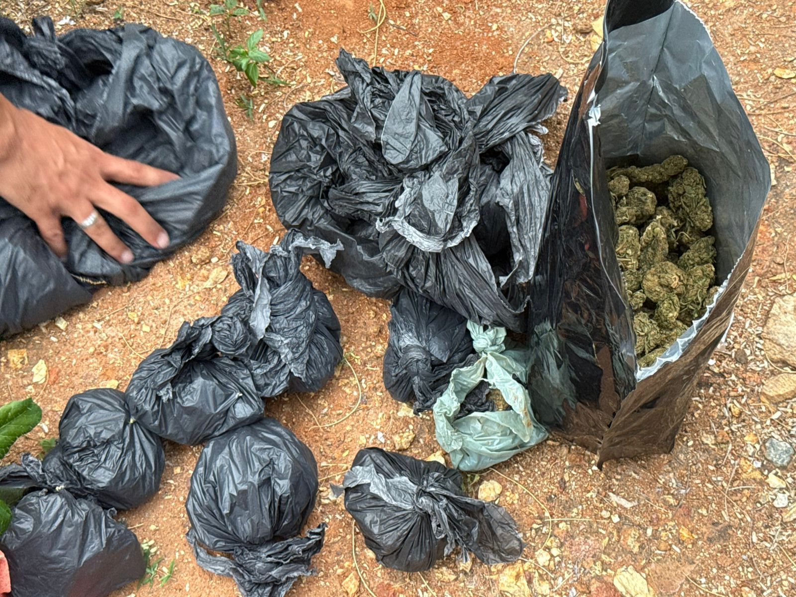 Ações de combate ao tráfico de drogas são realizadas em Jequié e Feira de Santana