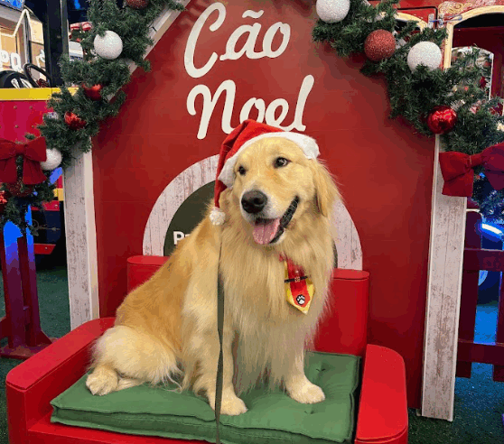 Cães terapeutas participam da programação de Natal do Parque Shopping Bahia