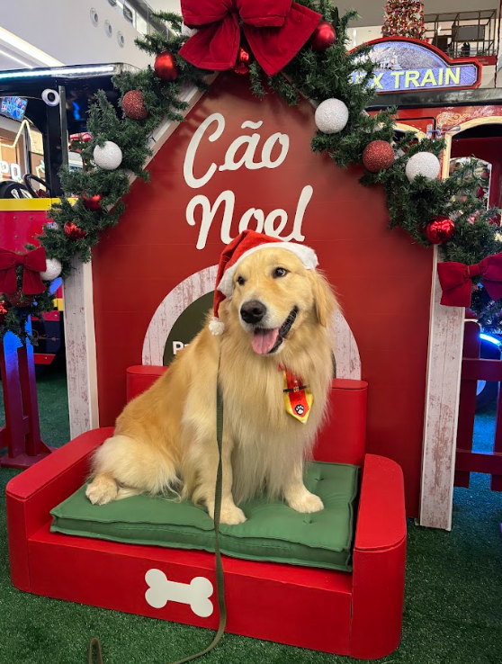 Cães terapeutas participam da programação de Natal do Parque Shopping Bahia