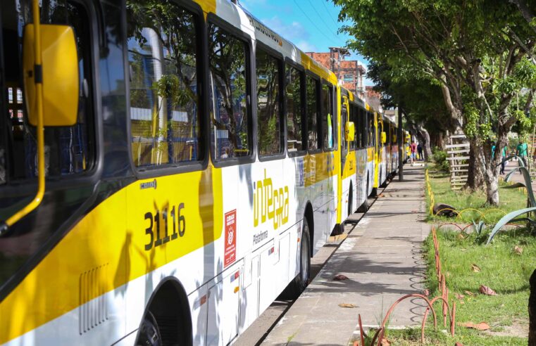 Linhas de ônibus são desviadas após surgimento de cratera na Avenida Paulo VI